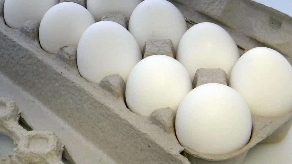 Gillibrand calls for action as avian flu drives up egg prices Gillibrand calls for action as avian flu drives up egg prices