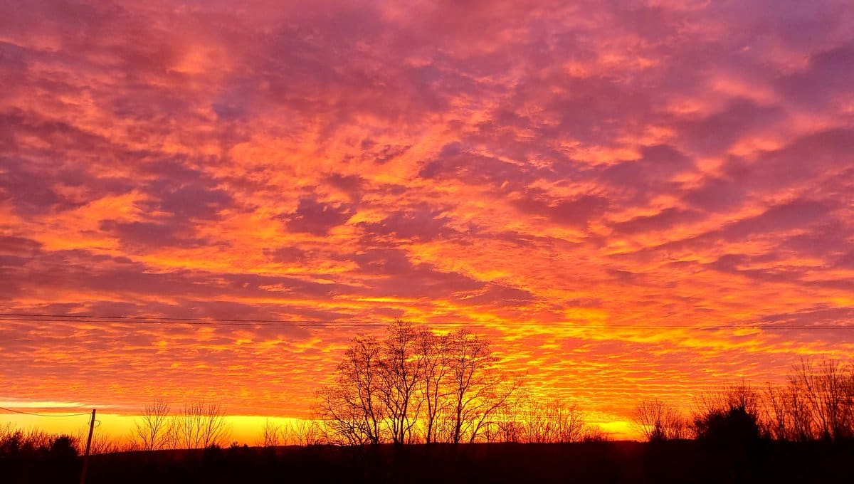 DAILY FORECAST: Week starts cool, damp after overnight storms