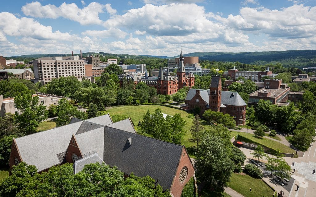 Cornell researchers develop portable test to tell Ebola from Lassa