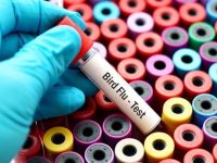 Avian influenza detected in wild birds in Seneca and Wayne counties