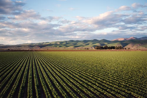 Cayuga County: Over million in state grants awarded to preserve area farmland Cayuga County: Over million in state grants awarded to preserve area farmland