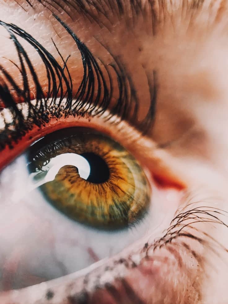 Researchers map how a retinal molecule helps regulate light response Researchers map how a retinal molecule helps regulate light response