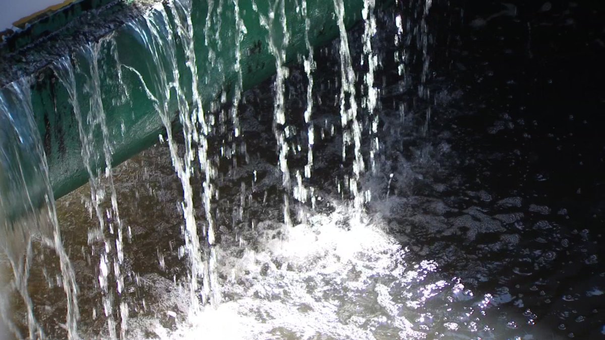 Buffalo completes  million Bird Island wastewater upgrade