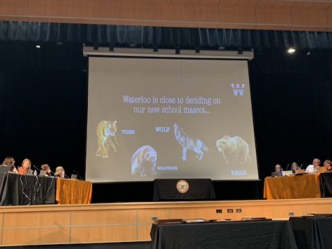 Waterloo school board selects tigers as new mascot for sports teams (video)