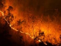 Statewide ban on brush burning gets underway soon