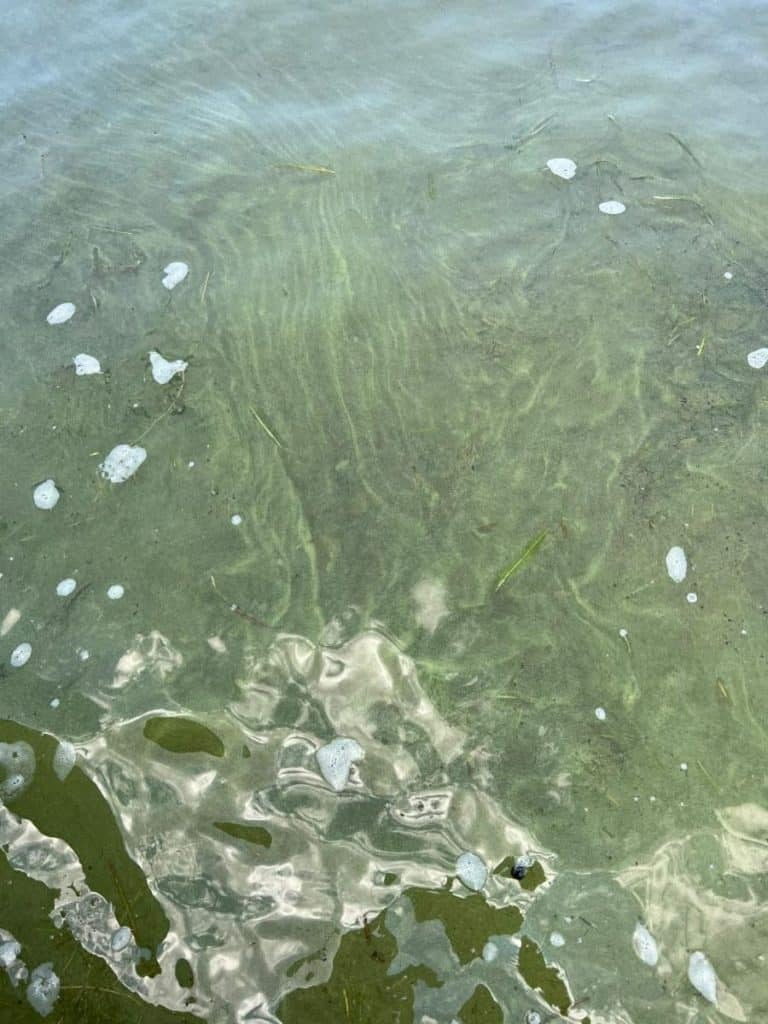 Six new HABs found on Canandaigua Lake: Calm weather means more expected