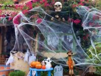 Halloween decorations could harm wildlife