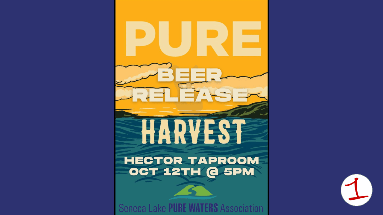Seneca Lake Pure Waters has new PURE BREW partnership with Lucky Hare