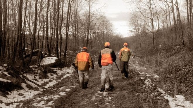 Deer Management Permits available to hunter due to extras in New York State