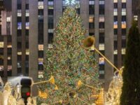 The Rockefeller Center Christmas Tree with come from upstate New York this year