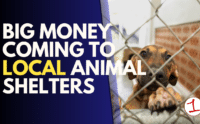Animal shelters in Auburn, Lyons get major investment thanks to state funding