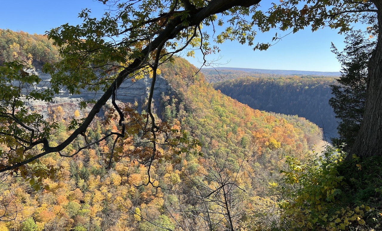 Cohocton prepares for 59th annual Fall Foliage Festival