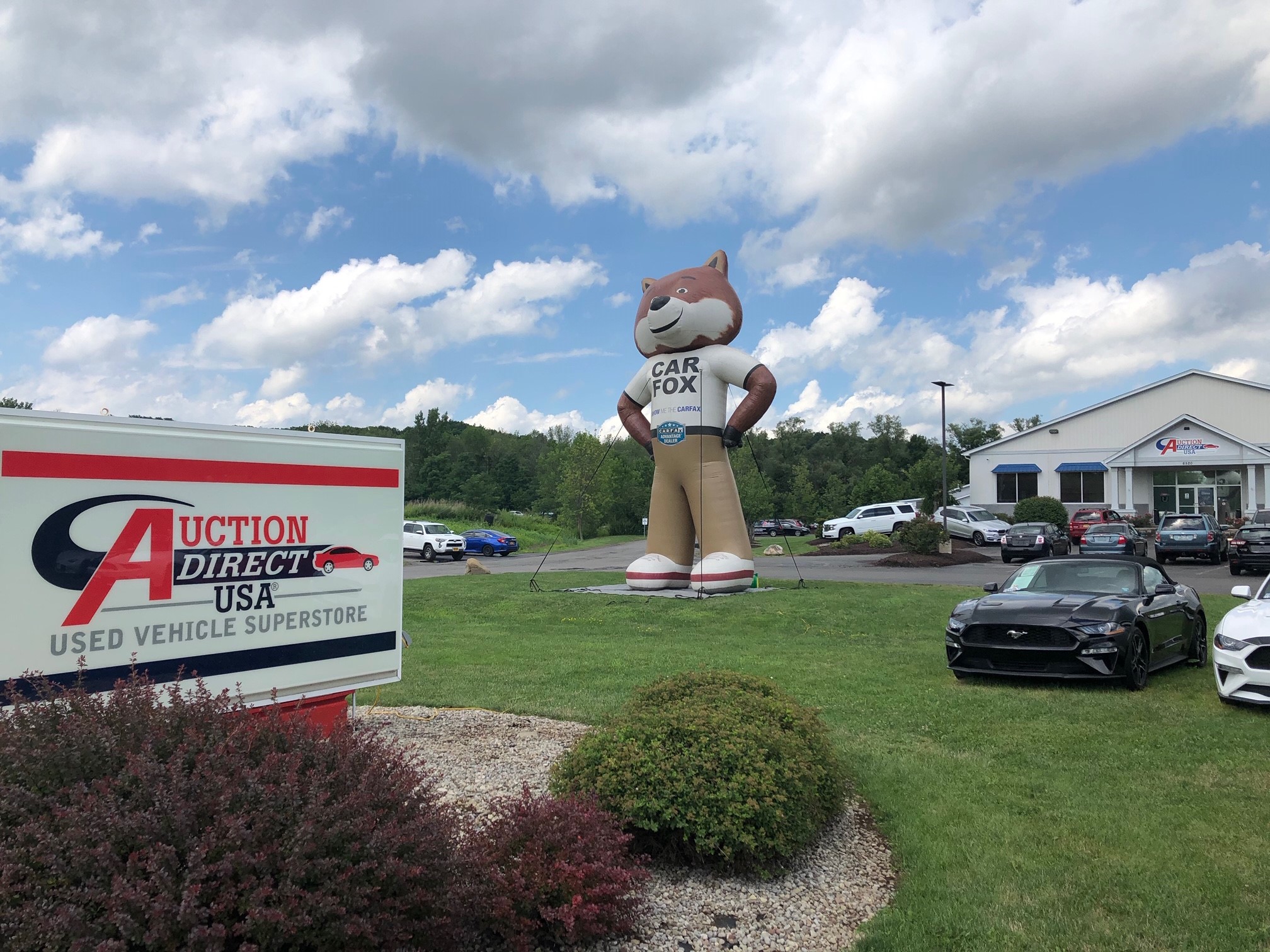 Auction Direct USA in Victor closing