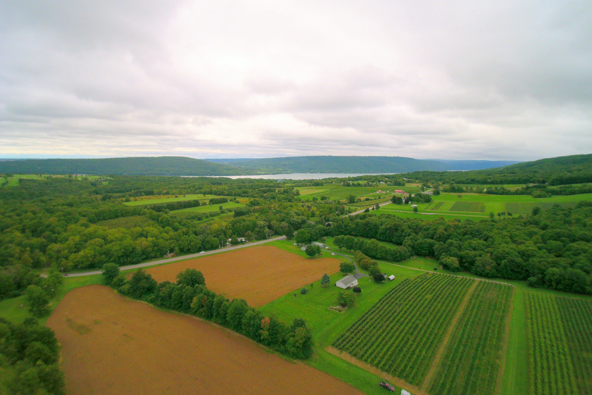 Finger Lakes Land Trust helps protect family vineyard in Ontario County