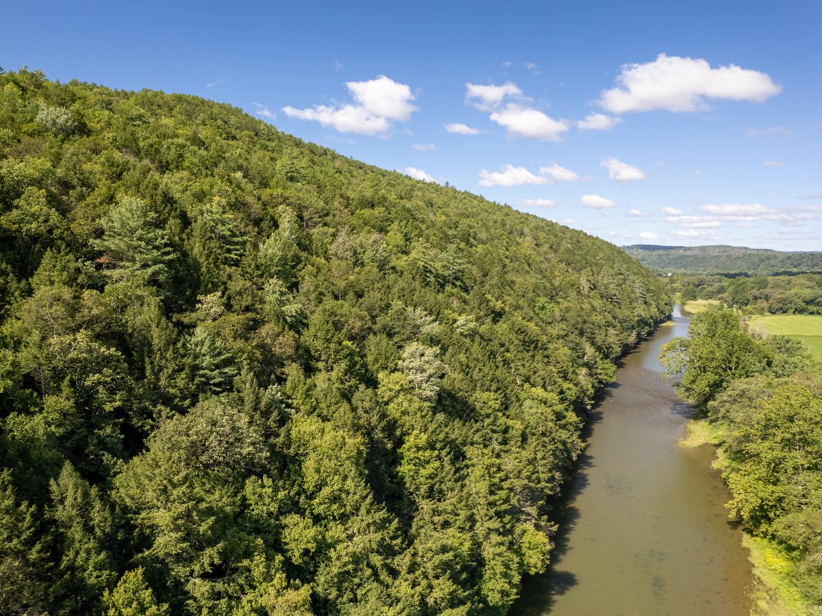 FL Land Trust acquires 1,000-acre property known as ‘Bad Bear Hill’ FL Land Trust acquires 1,000-acre property known as ‘Bad Bear Hill’