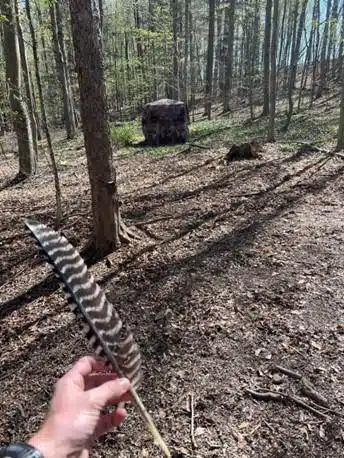 Turkey hunter ticketed for illegal baiting in Steuben County