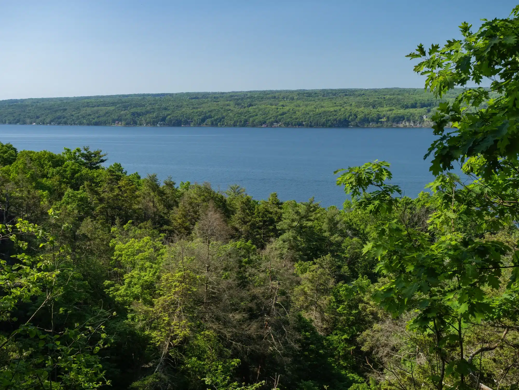 Finger Lakes Land Trust celebrates 35 years with record conservation