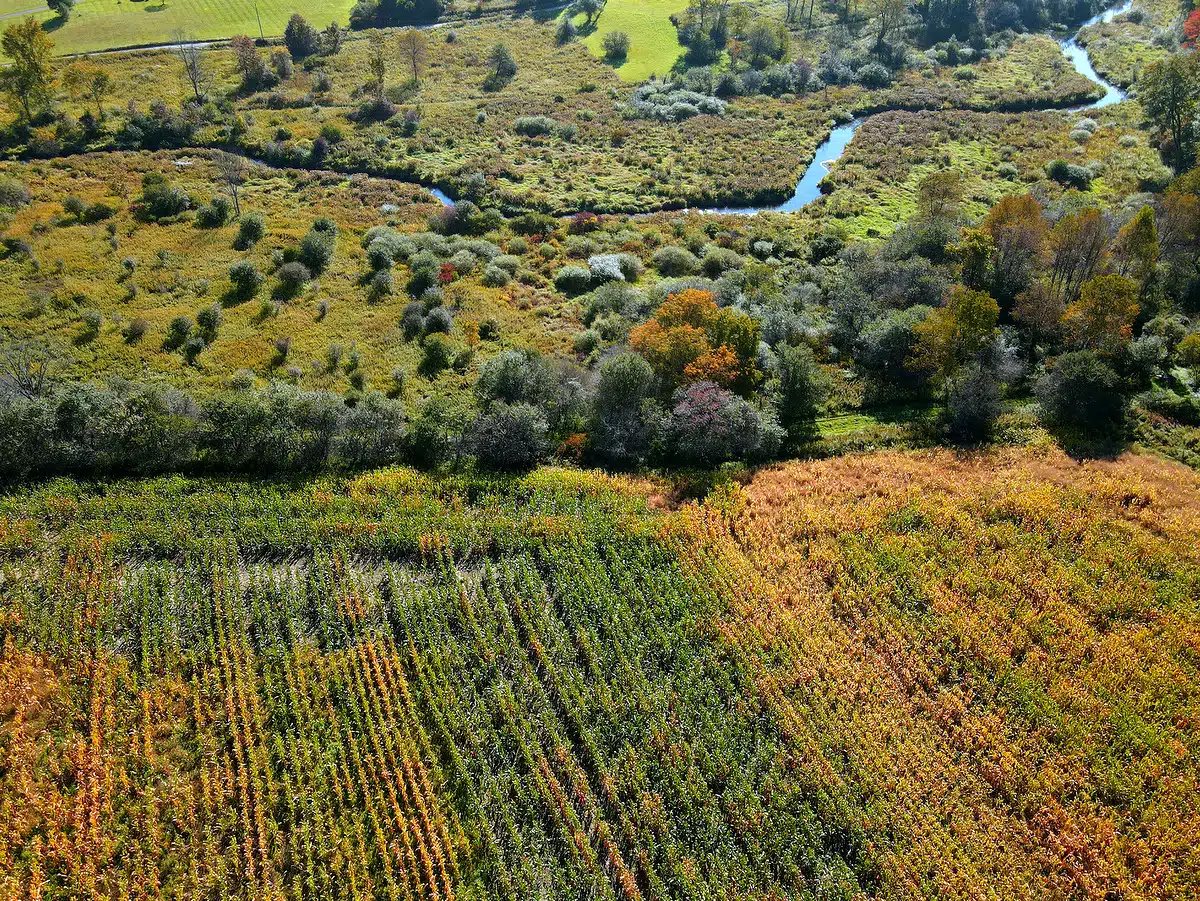 Finger Lakes Land trust and DEC secure 260 acres along Fall Creek Finger Lakes Land trust and DEC secure 260 acres along Fall Creek