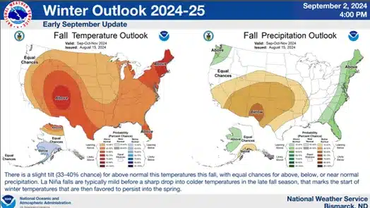 What to expect this winter in New York: NOAA forecast leans warmer, wetter