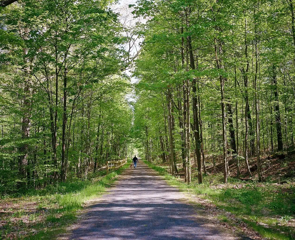 CNN calls Ithaca a ‘showstopper’ for scenery CNN calls Ithaca a ‘showstopper’ for scenery