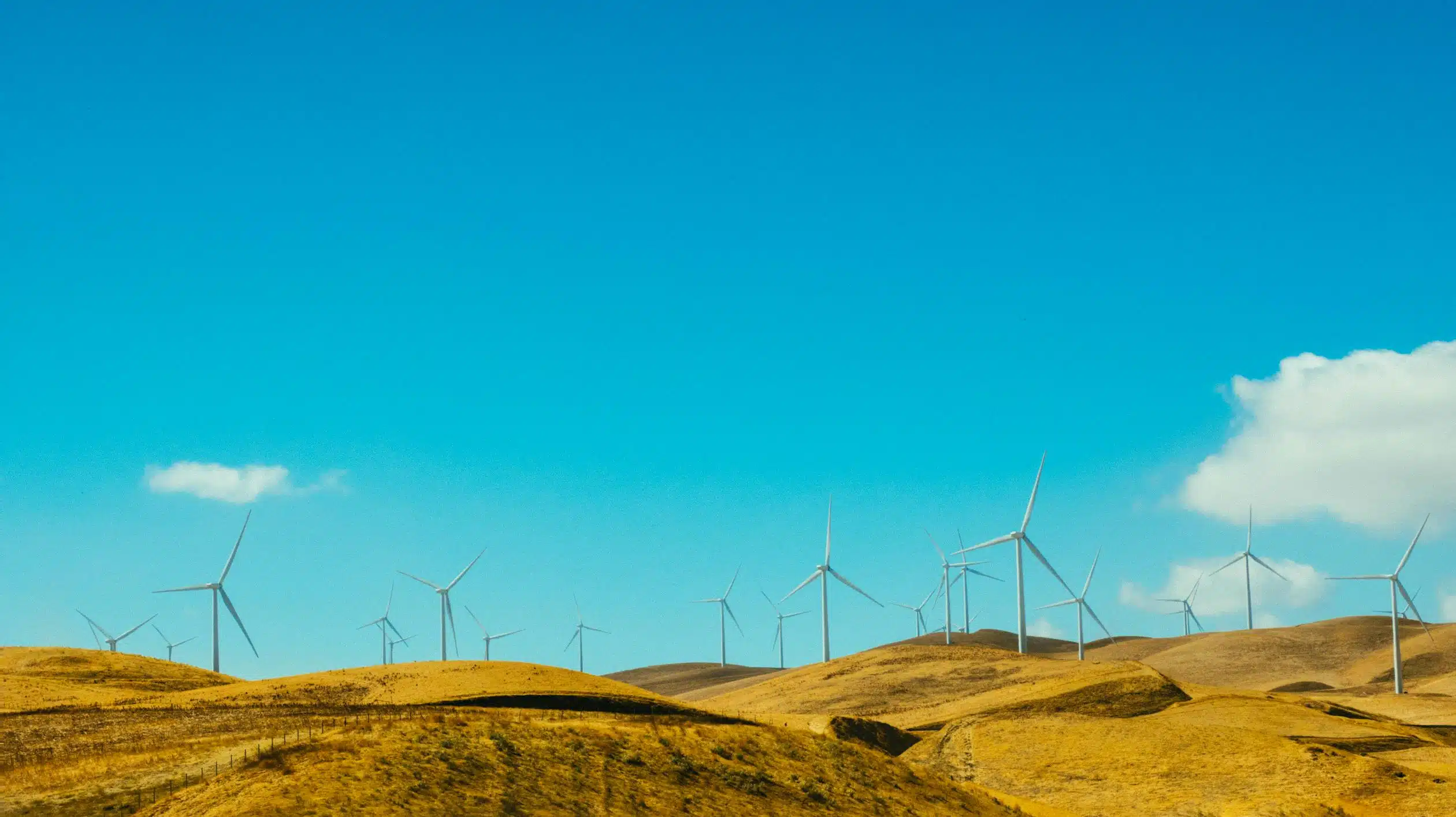 New York launches PowerUp2030 to train small, diverse energy businesses New York launches PowerUp2030 to train small, diverse energy businesses