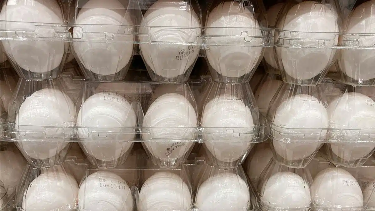 Costco Recalls 2024 List Emily Clarabelle
