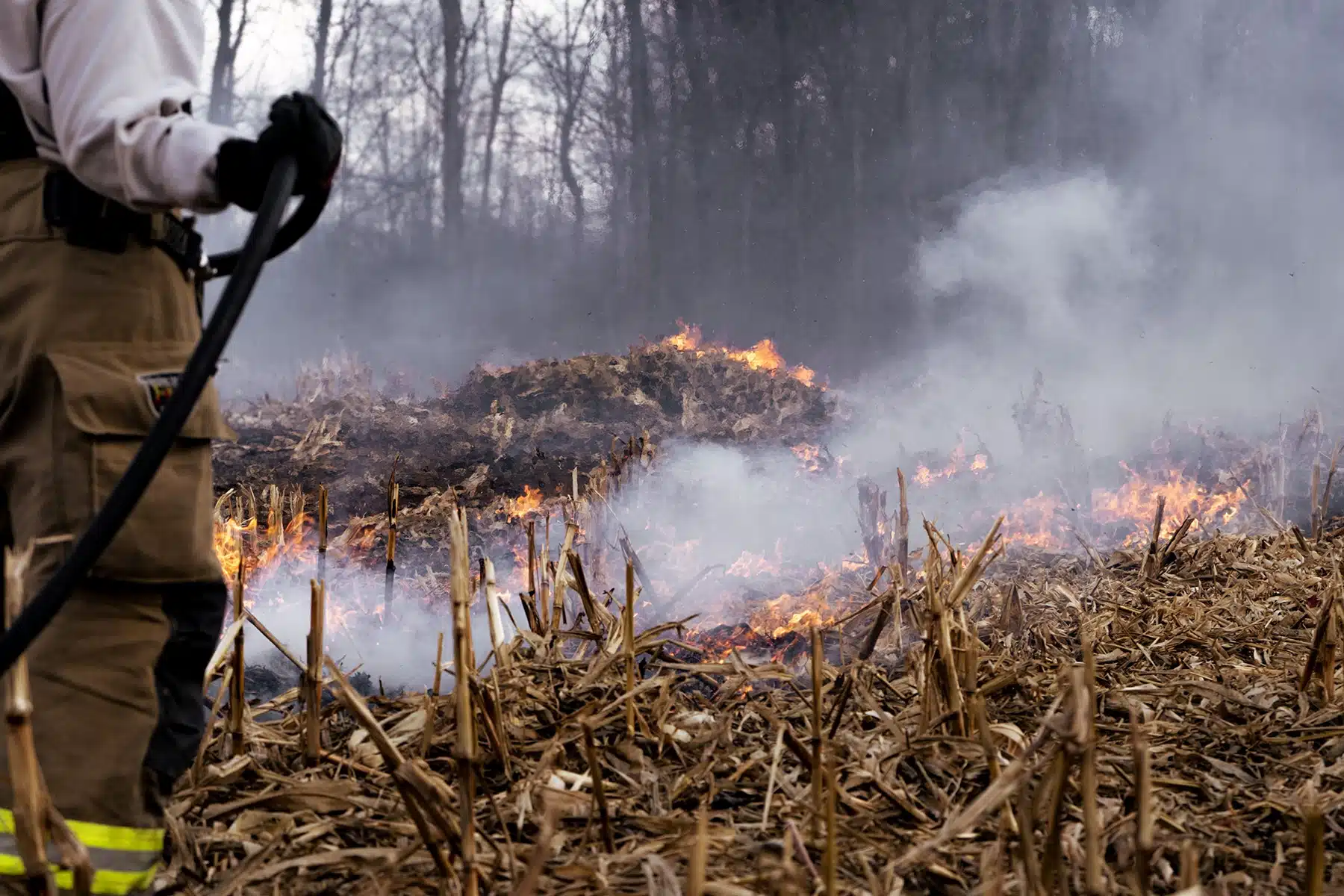 Major brush fire in Cayuga County prompts heavy response Major brush fire in Cayuga County prompts heavy response
