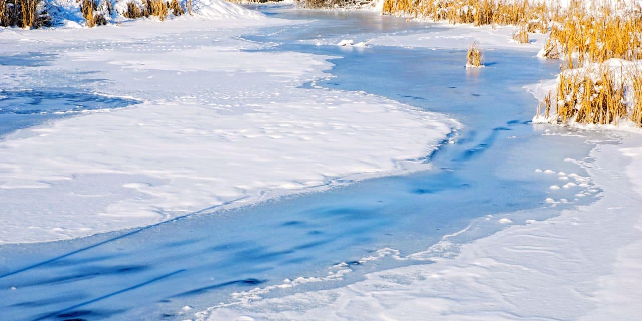 SAFETY MOMENT: Walk like a penguin in icy conditions