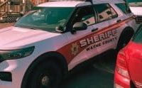 Williamson woman arrested for violating order of protection