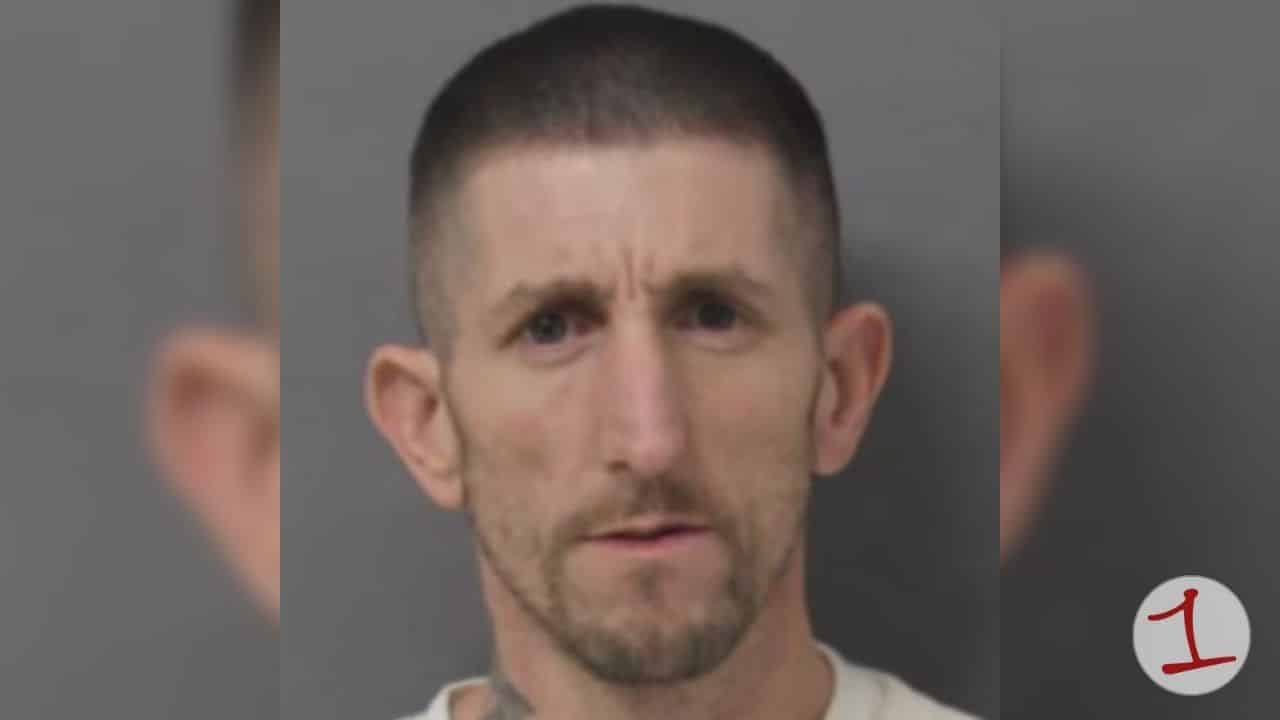 Dansville man arrested on multiple felony charges in gang assault and robbery case Dansville man arrested on multiple felony charges in gang assault and robbery case