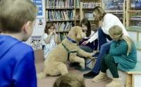 Therapy dogs Toby and Willis bring comfort and joy to Midlakes schools