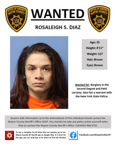 Deputies: Woman wanted on felony burglary charge sought in Wayne County