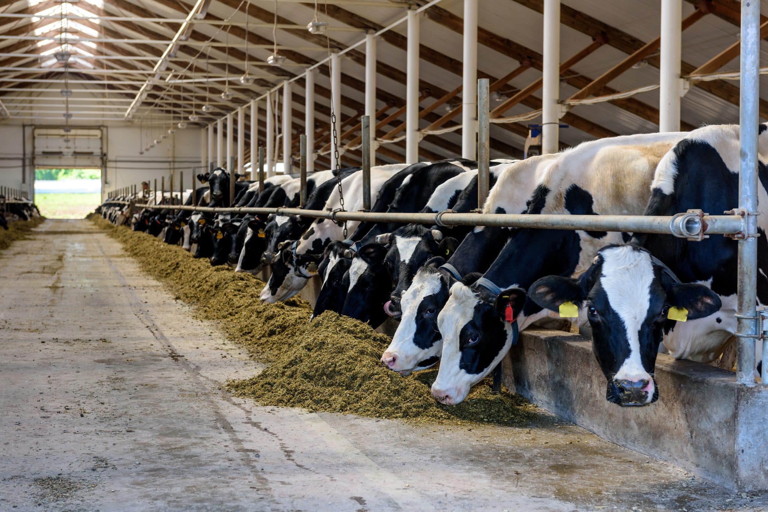 4-H Open House to Spotlight Youth Programs