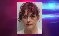 Ithaca woman indicted on vehicular manslaughter, others charges after fatal wreck