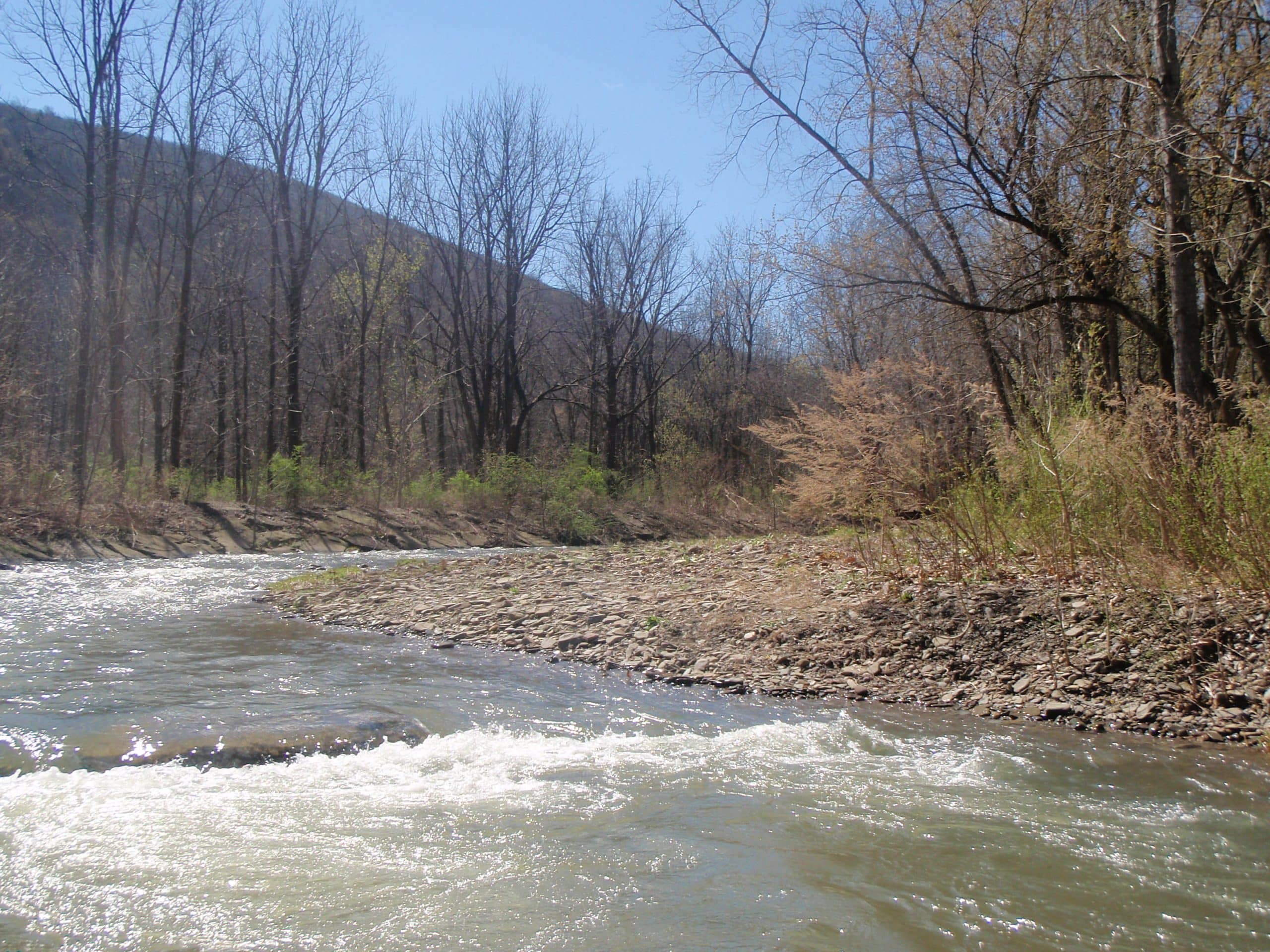 DEC to hold annual rainbow trout sampling at Naples Creek