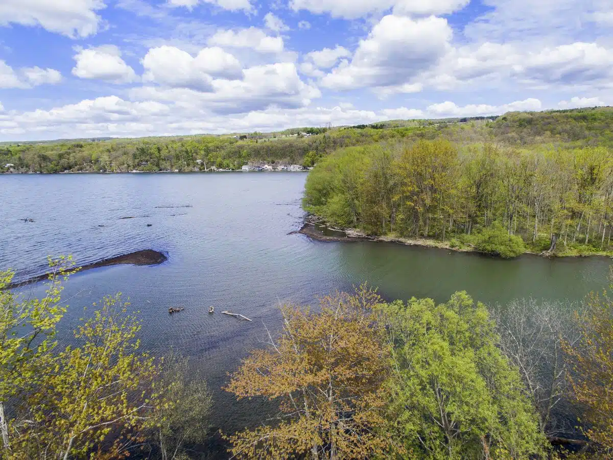 DEC and The Nature Conservancy announce 92-acre expansion of Owasco Flats Wildlife Management Area