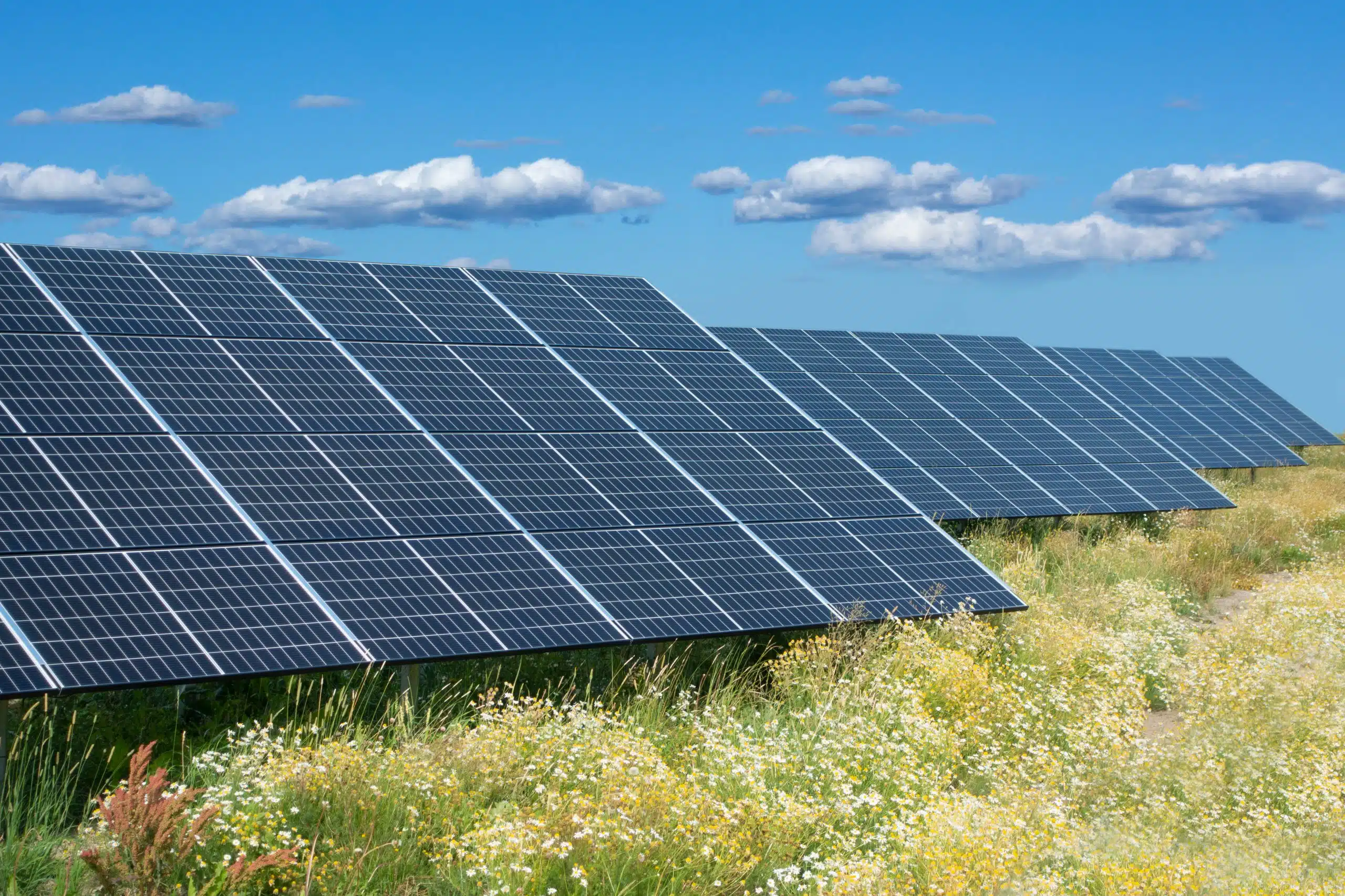 NY’s first grid-scale solar project comes online