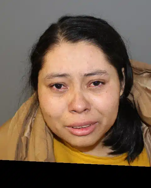 Seneca Falls woman charged with attempted assault after punching officer Seneca Falls woman charged with attempted assault after punching officer