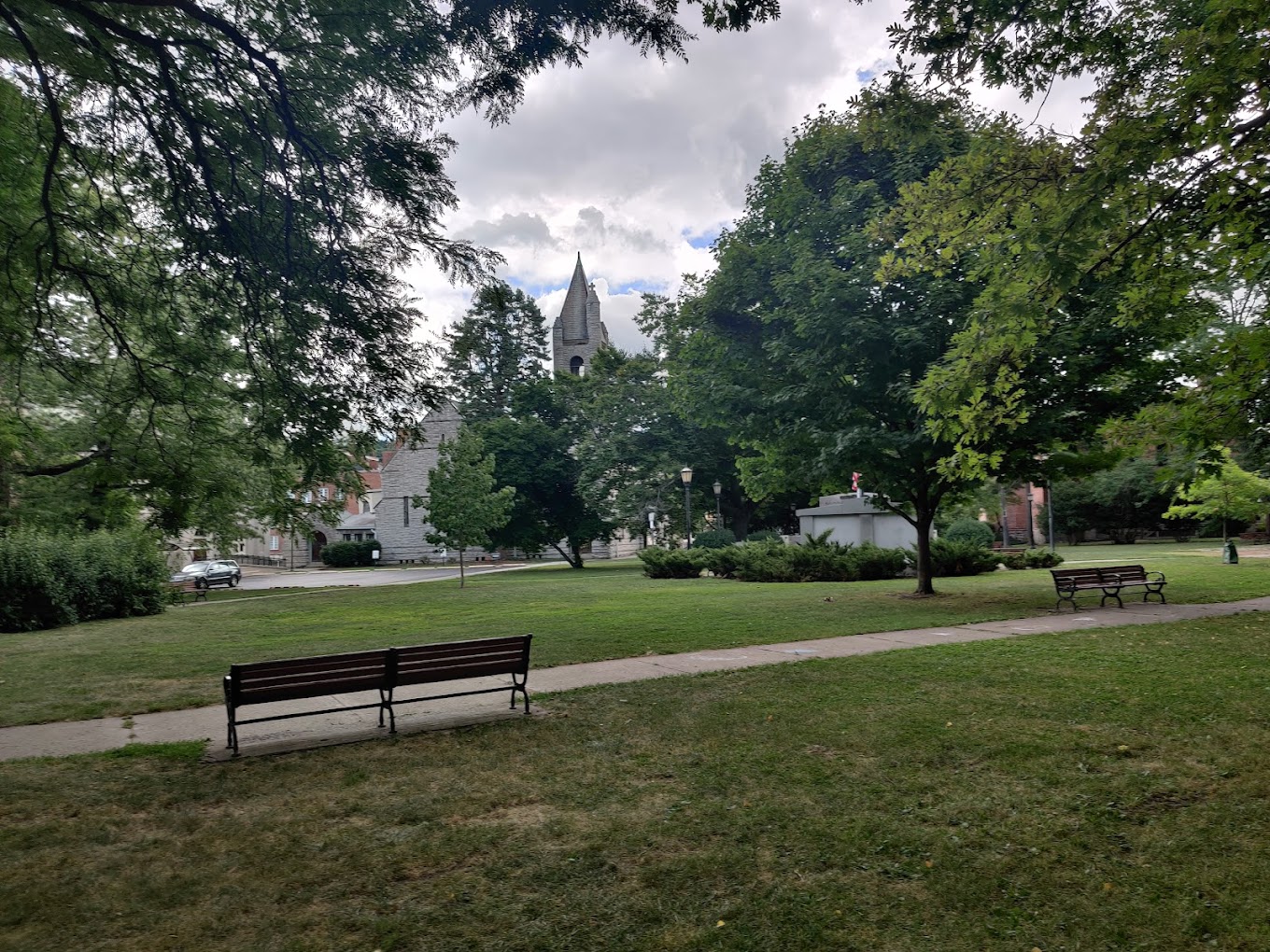 Ithaca issues new guidance for dog owners in city Ithaca issues new guidance for dog owners in city