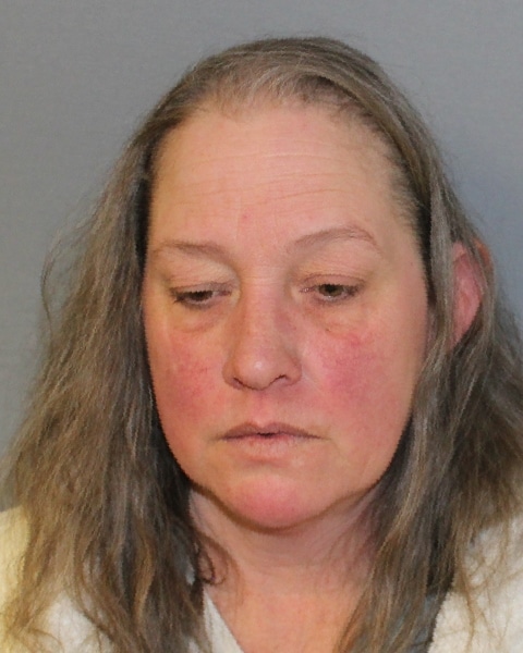 Waterloo Woman Arrested After Hit-and-Run in Seneca Falls Waterloo Woman Arrested After Hit-and-Run in Seneca Falls