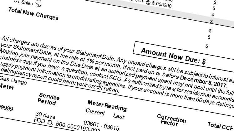 Riley demands public hearings on NYSEG rate hikes