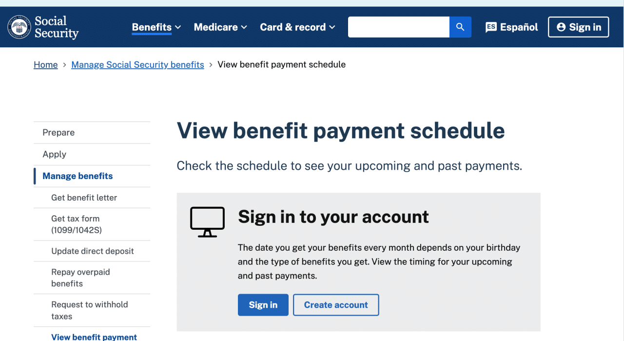 Image showing the social security payment portal online.