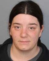 Seneca Falls Woman Arrested After Domestic Disturbance Involving Children Seneca Falls Woman Arrested After Domestic Disturbance Involving Children