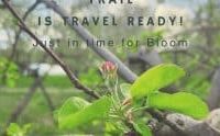 Finger Lakes Cider Trail to celebrate spring bloom May 10-11