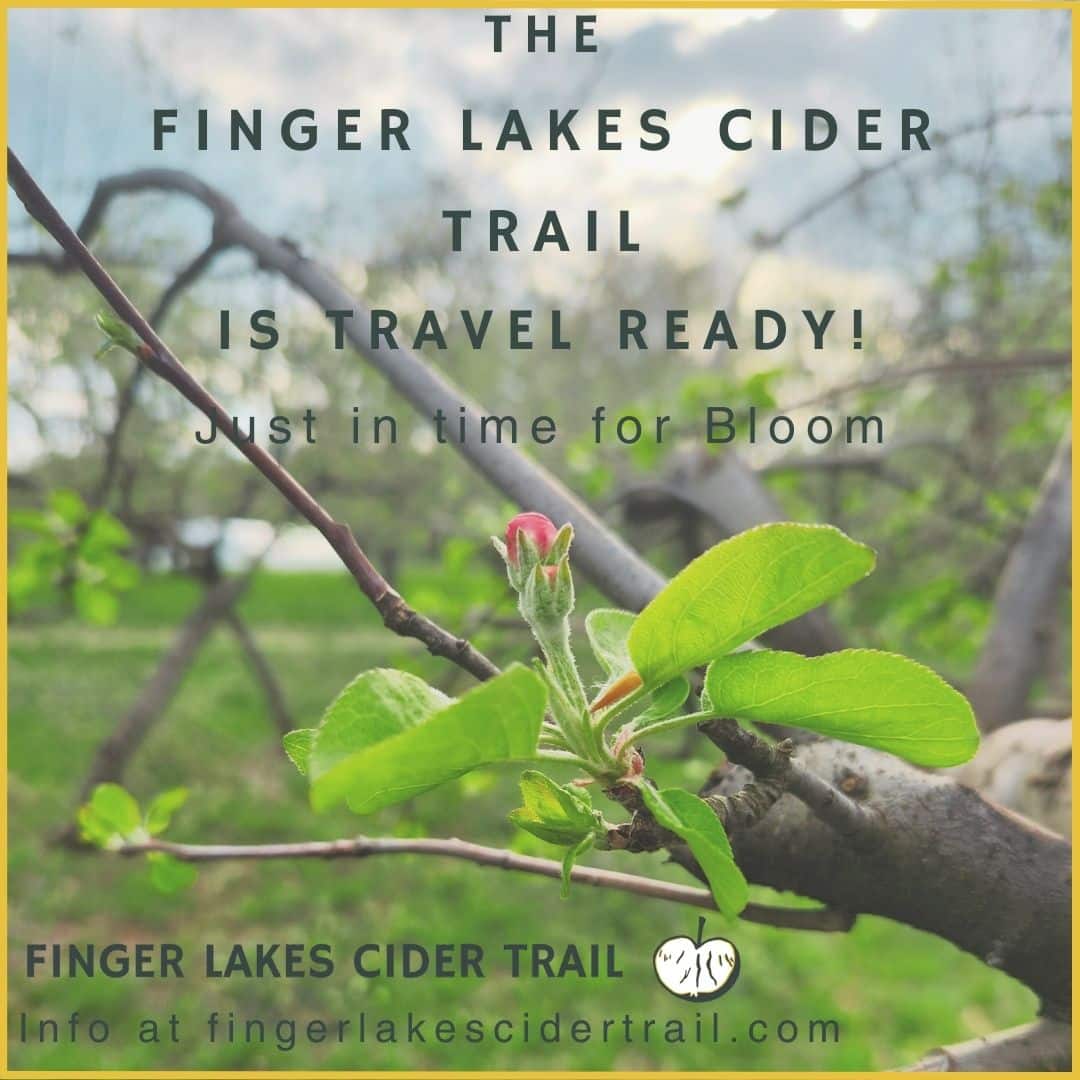 Finger Lakes Cider Trail to celebrate spring bloom May 10-11 Finger Lakes Cider Trail to celebrate spring bloom May 10-11