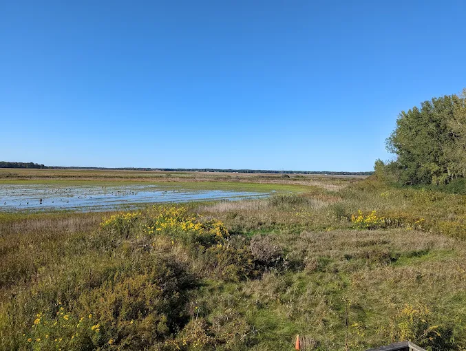 New York State DEC launches Snapshot NY wildlife monitoring program New York State DEC launches Snapshot NY wildlife monitoring program