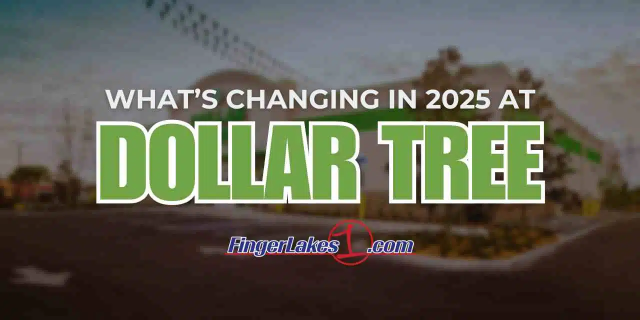 Dollar Tree product changes 2025: What’s new, what’s gone, and what costs more Dollar Tree product changes 2025: What’s new, what’s gone, and what costs more
