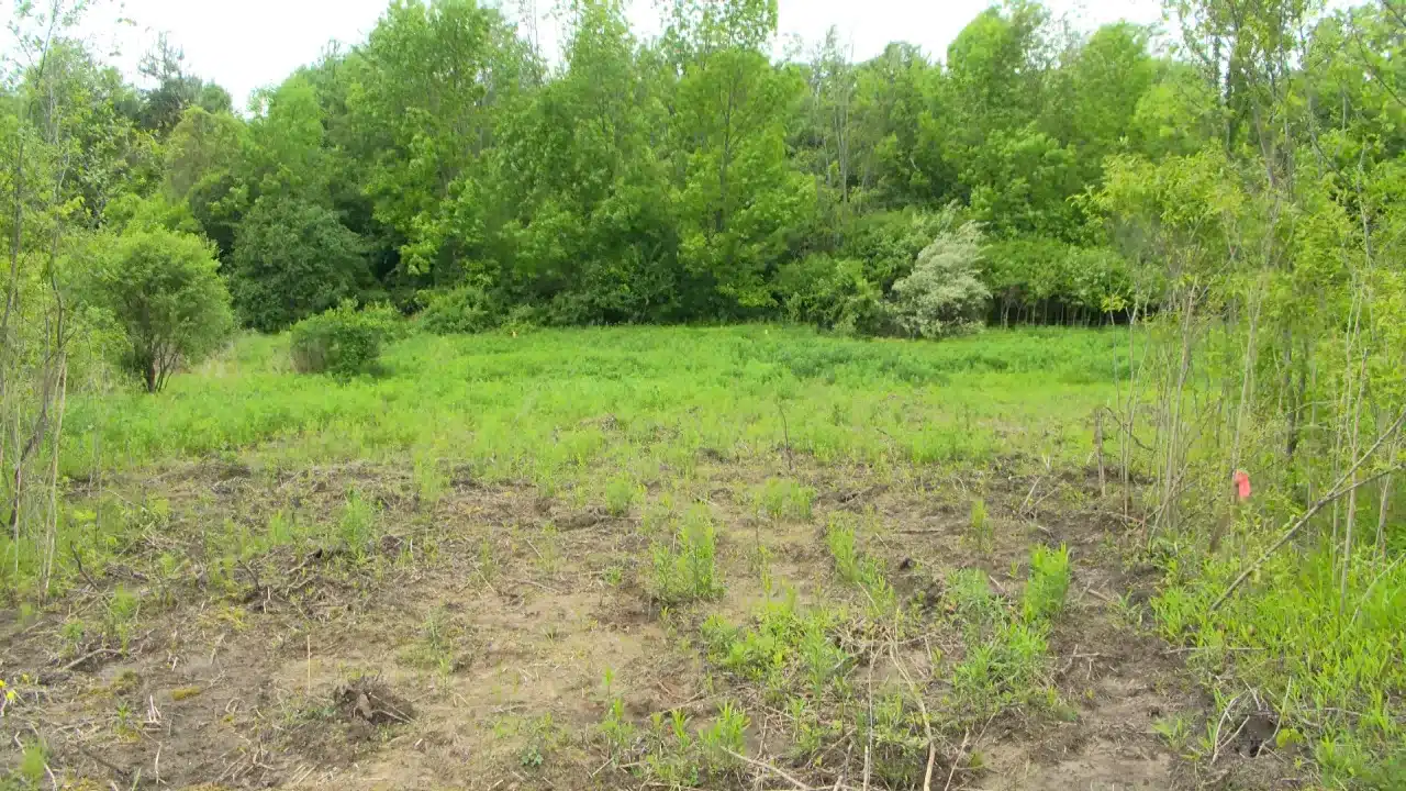 Cell tower work in Manchester to resume after delay Cell tower work in Manchester to resume after delay