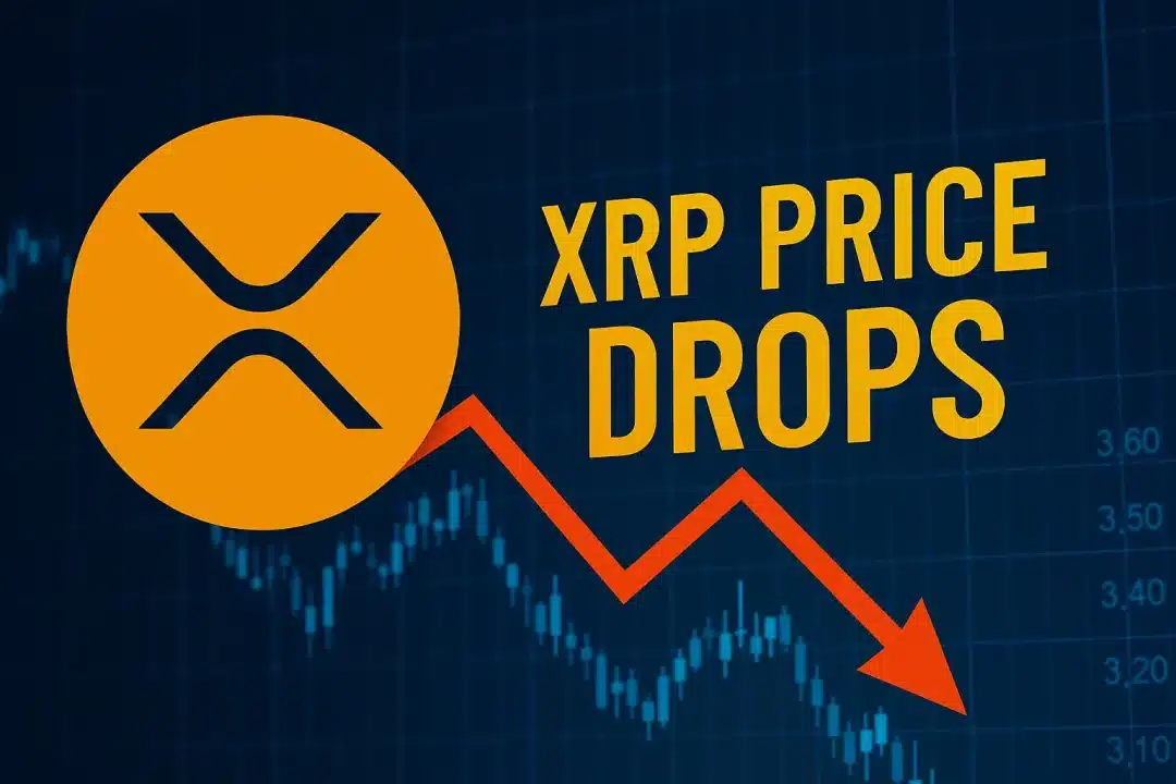 XRP Price Drop