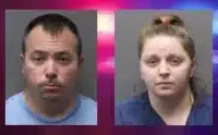 Dog dies in heat; Bath couple arrested for cruelty